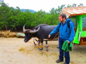 Mark's new name: Speaks with Water Buffalo.