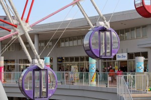 The ferris wheel at Rinky Pleasure Town.